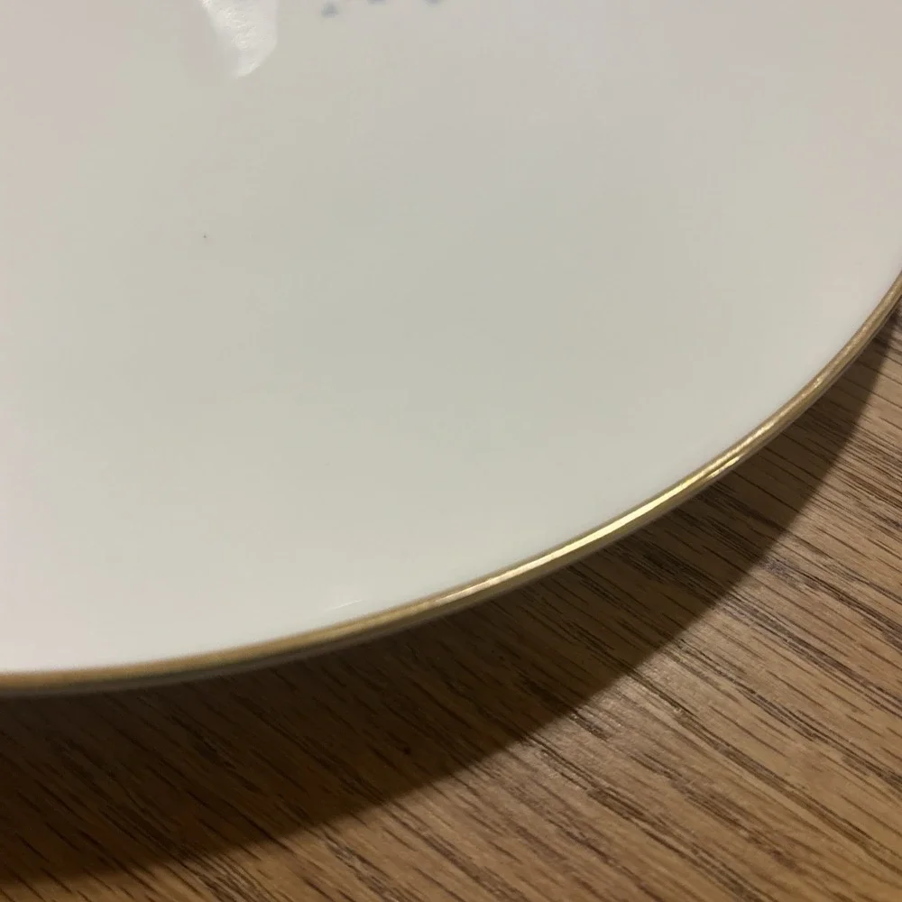Vintage Noritake 6238 Roseville 10 1/2